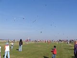 Drakiáda 2005
